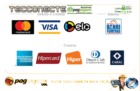 1595342269756 PAGSEGURO 2020.png