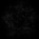 O5X8IV0_edited_edited.jpg