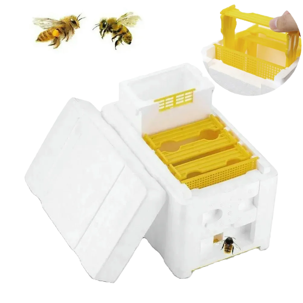 Queen Mating Hive Kit