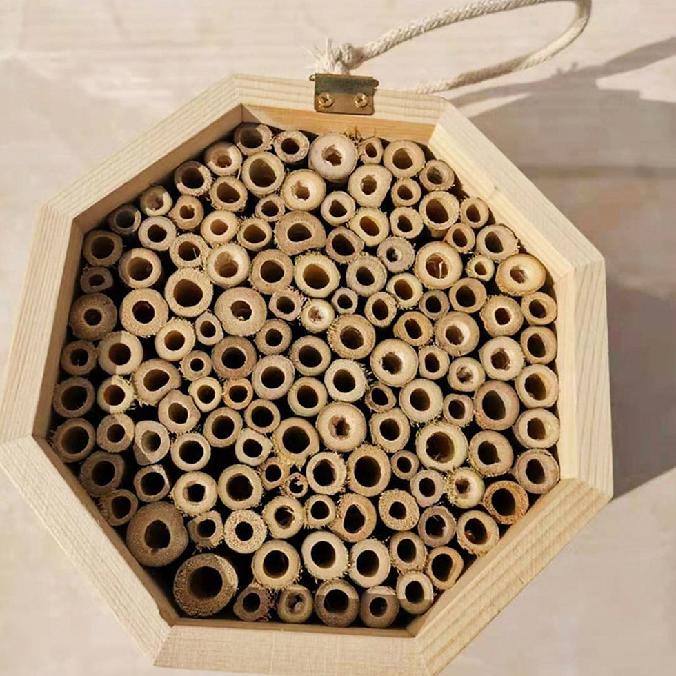 Miniatura: Wooden Bee House