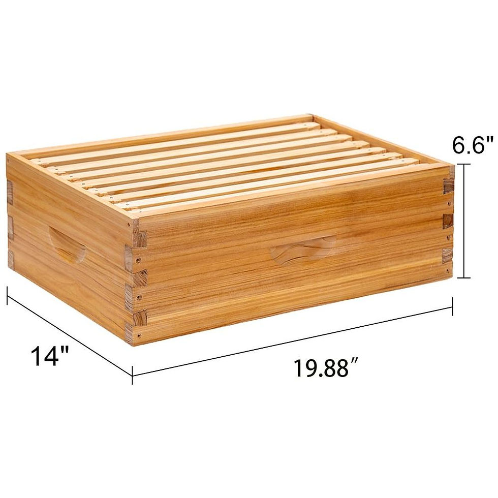 Miniature : 8-Frame Langstroth Beehive