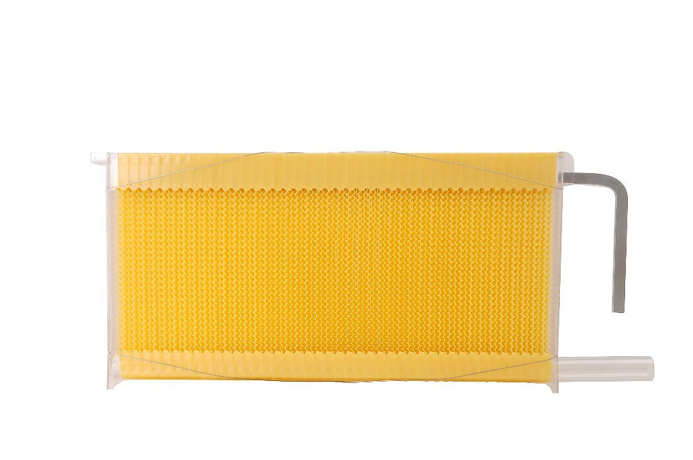 Miniatura: Self-flowing honey hive