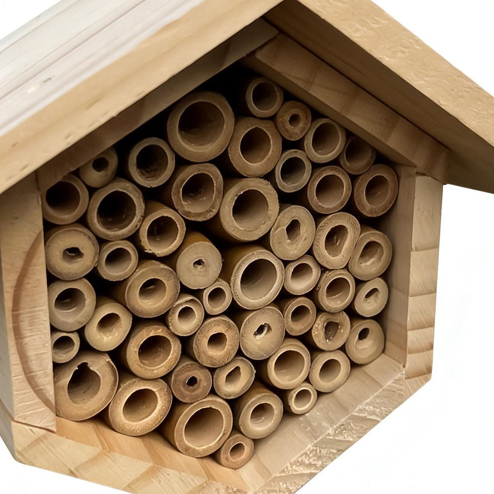 Miniature : Hexagonal Bee House