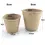Thumbnail: Paper Grow Pot