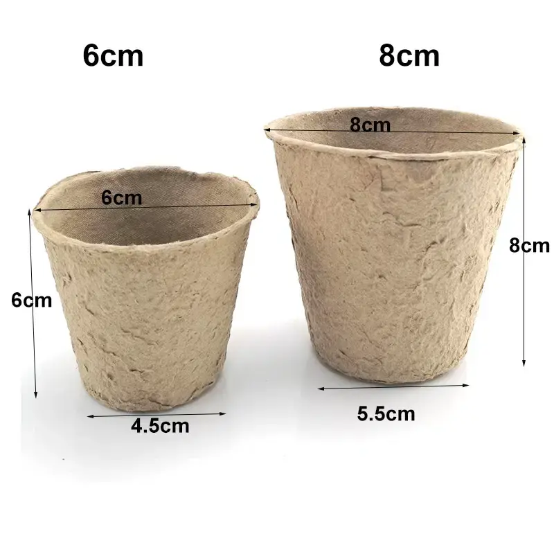 Miniatura: Maceta de cultivo de papel