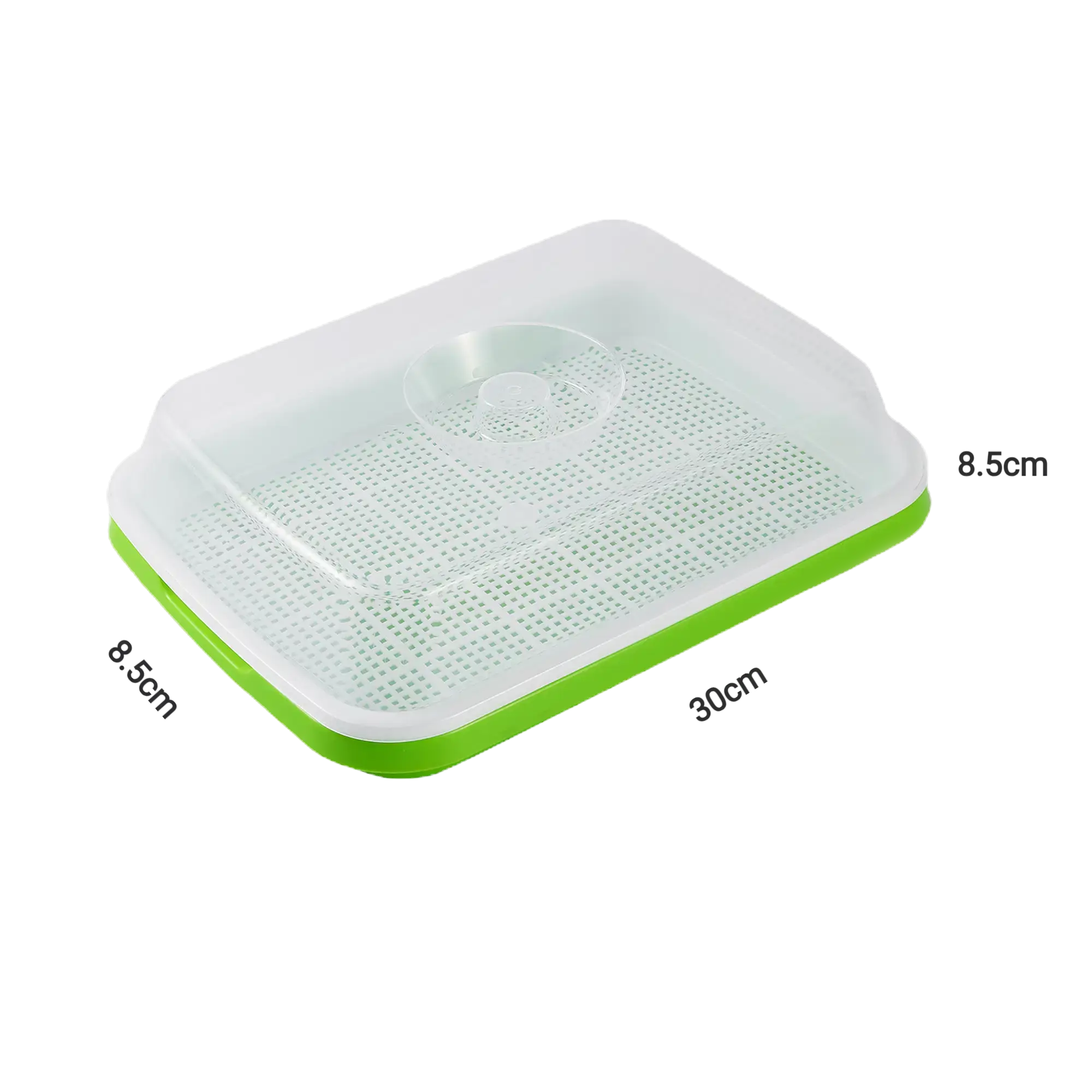 Sprout Dish / Growing Pot