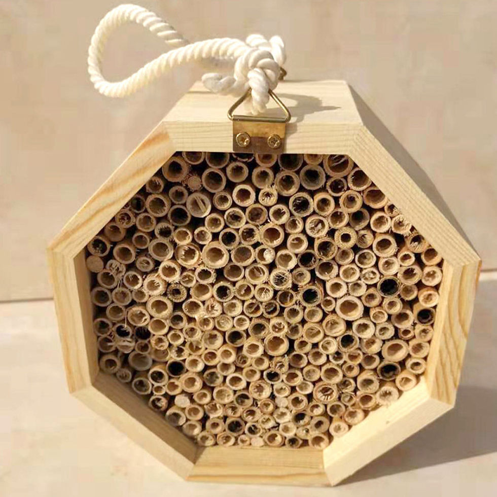 Miniatura: Wooden Bee House