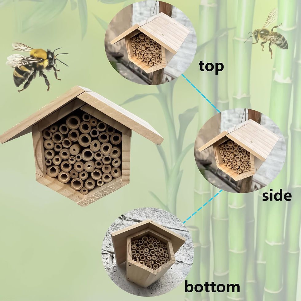 Miniature : Hexagonal Bee House