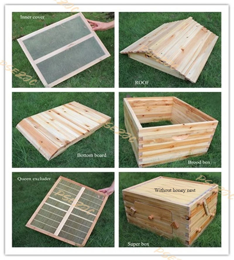 Miniatura: Automatic Flow Beehive