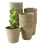 Thumbnail: Paper Grow Pot