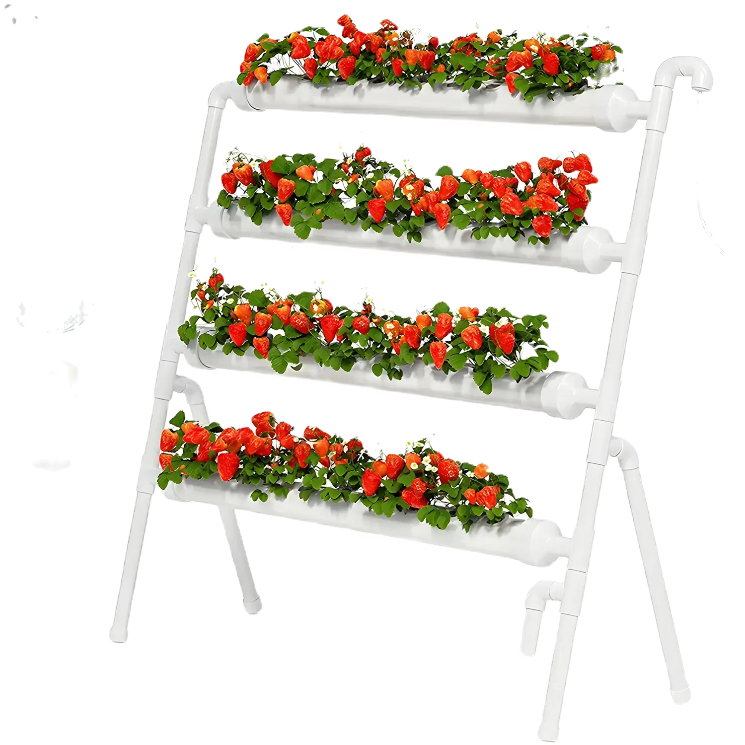 Hydroponics Growing System