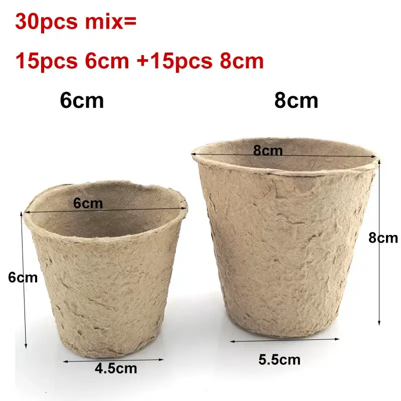 Miniatura: Maceta de cultivo de papel