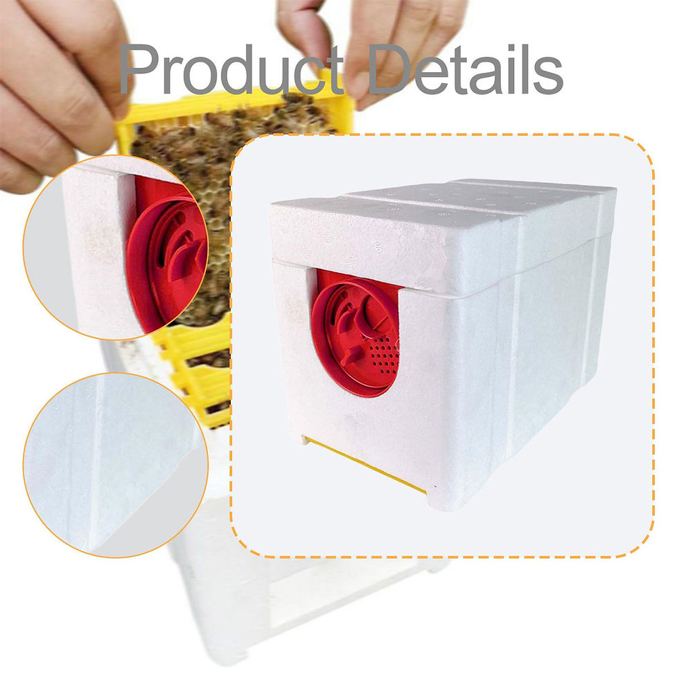 Miniatura: Beehive Queen Breeding Box