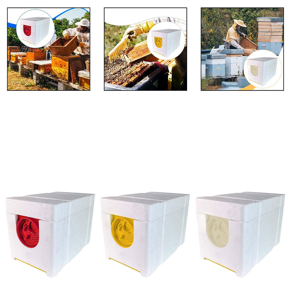 Miniatura: Beehive Queen Breeding Box
