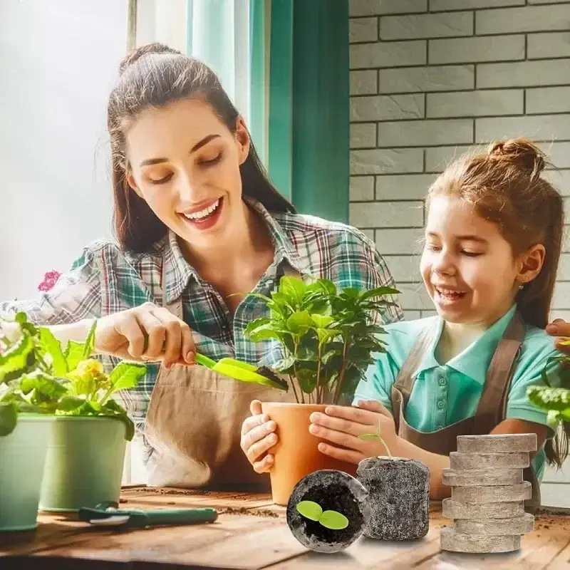 Miniatura: Pellets de suelo comprimido