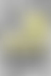 Canary and the Mothman Review