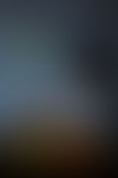 Miller Avenue Murder Review