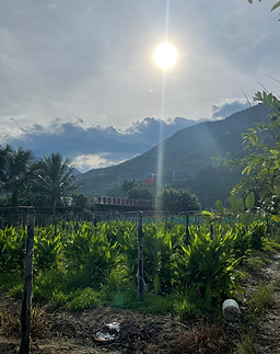 IMG_3798.jpeg