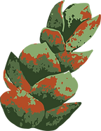 element 1.png