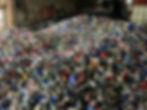 IMG_9739.jpeg