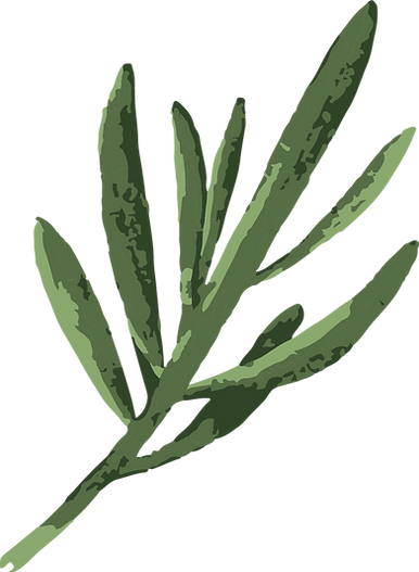element 3.png