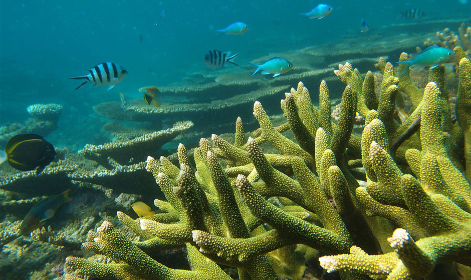 P5120194.jpg