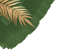 13.png