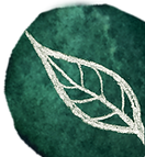 Punto verde con planta con fondo transparente.png