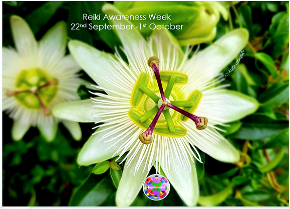 angeharmony - Nature & Reiki Happiness (2).png