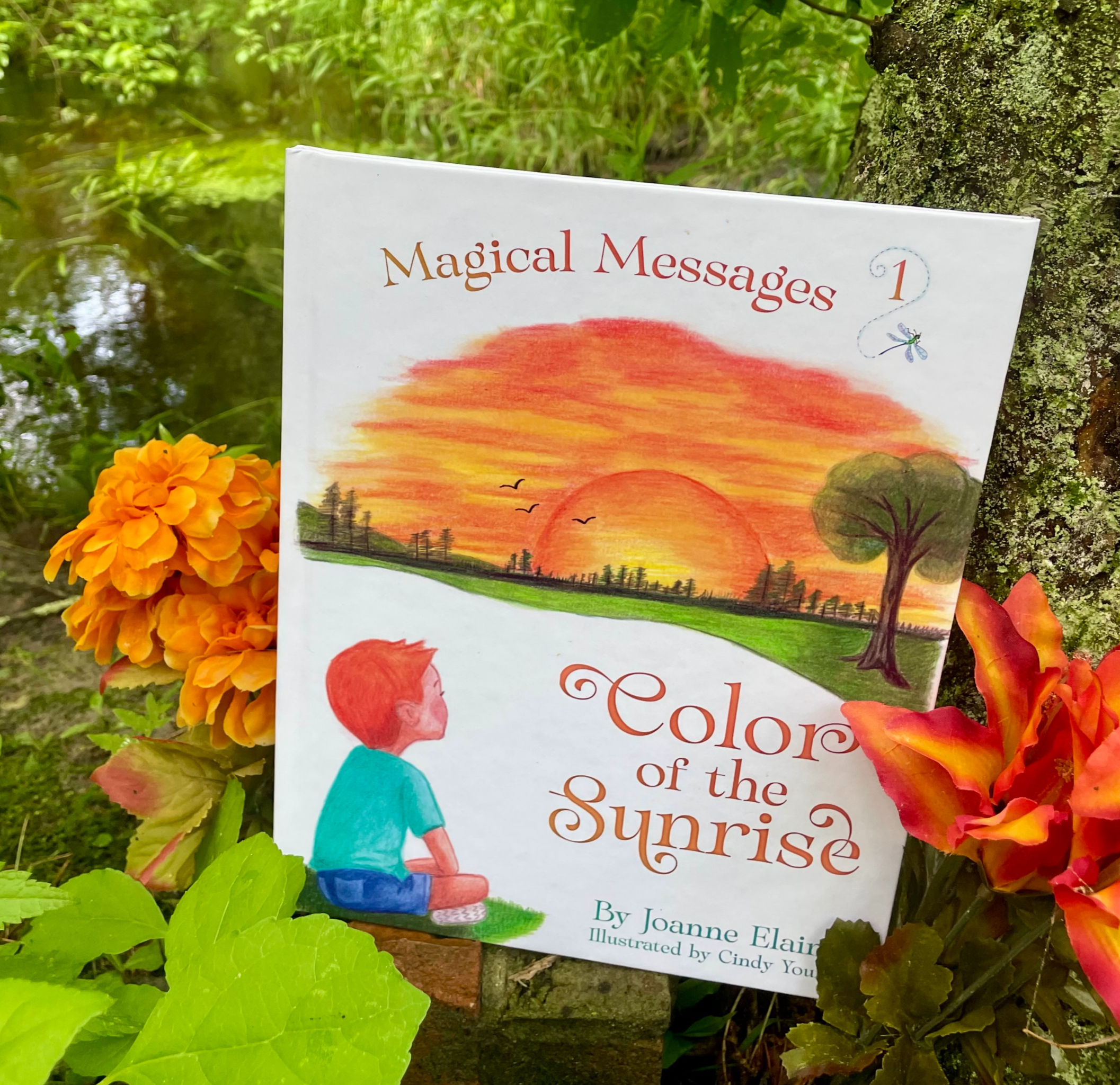 Color of the Sunrise - Paperback