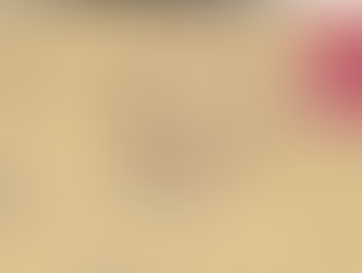 French Battleship Richelieu Part 3