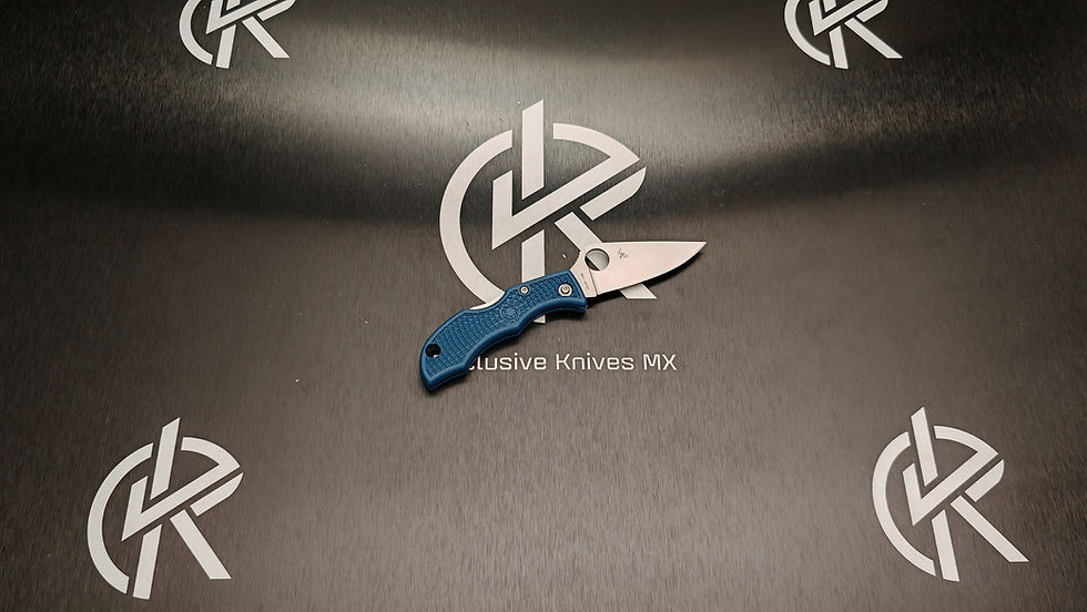 Miniatura: Spyderco Ladybug 3 Clip Point CPM SPY27 Cobalt Blue FRN LPCBL3