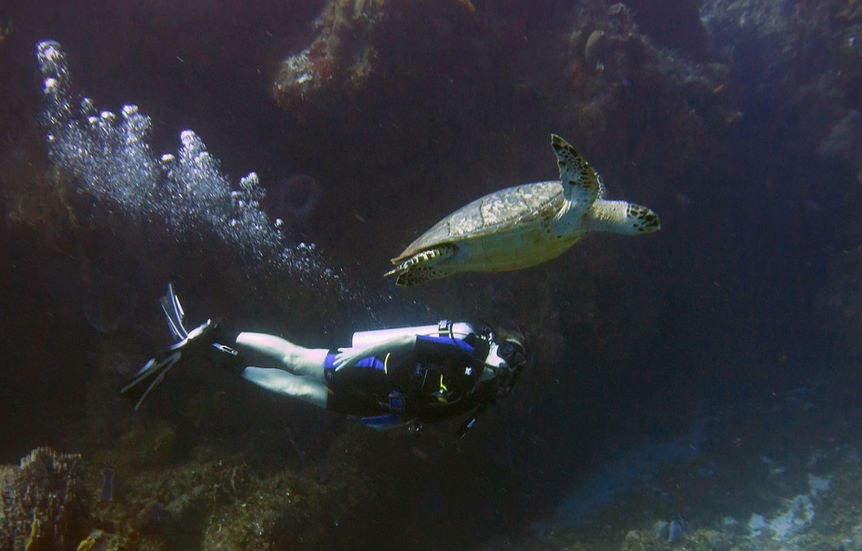 Join the LetsGo-Diving Community for Ultimate Scuba Experiences