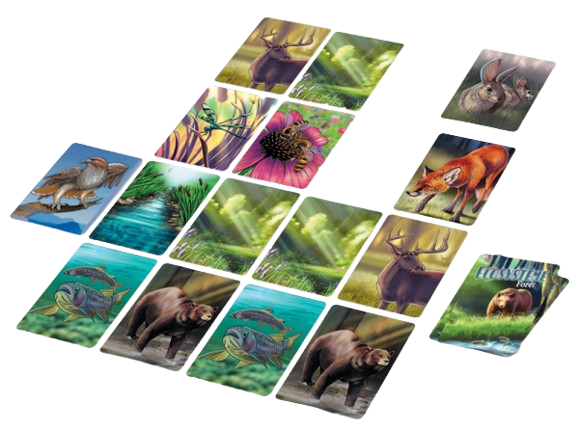 Miniature : ECOSYSTEME Forêt