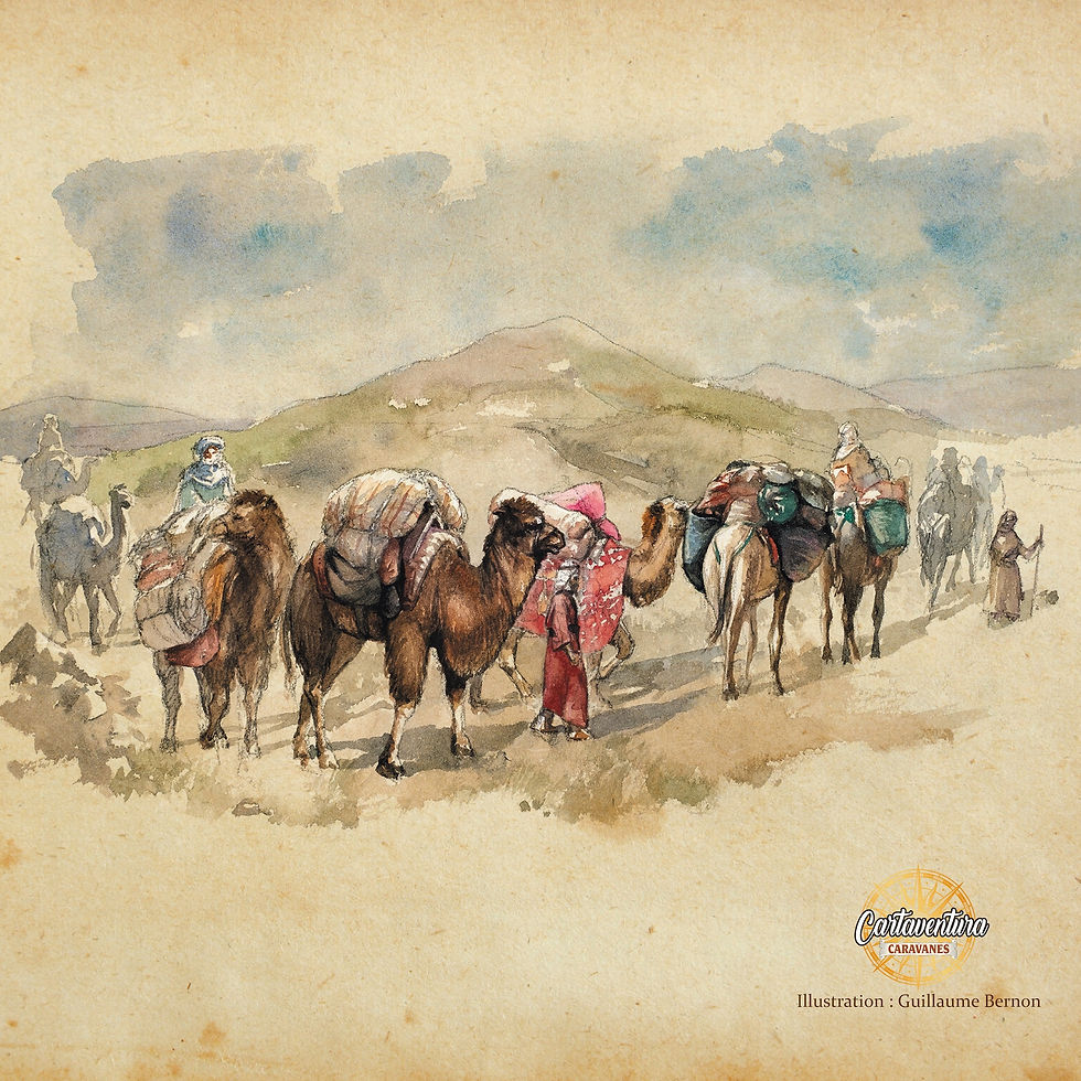 Miniature : CARTAVENTURA Caravanes