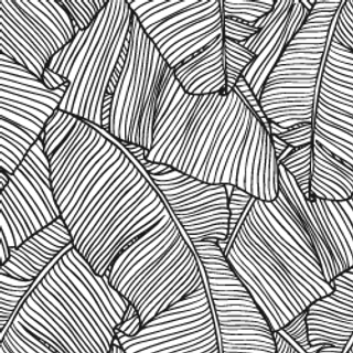 Overlapping Leaves Black