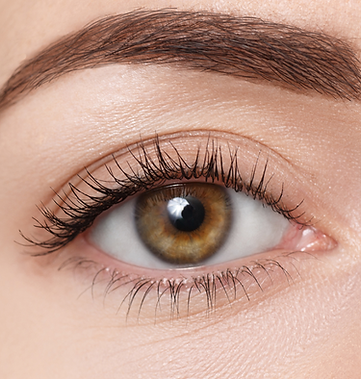 Eyeliner Tattoo - Brow Microblading - Permanent Makeup