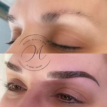 hybrid brows.jpeg