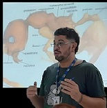 Disciplina Bioecologia e Diversidade de Formicidae (Hymenoptera, Insecta)