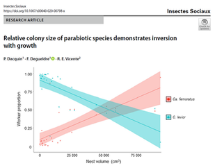 Artigo publicado: "Relative colony size of parabiotic ant species demonstrates inversion with growth"
