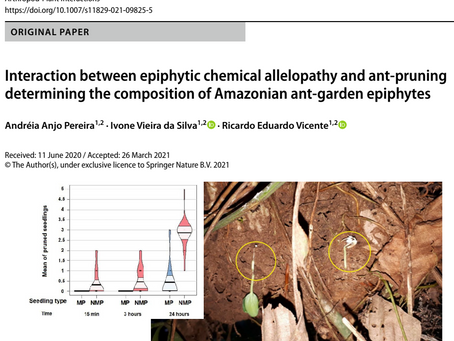 Artigo publicado: "Interaction between epiphytic chemical allelopathy and ant-pruning determining the composition of Amazonian ant-garden epiphytes"