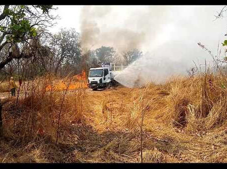 Ricardo investiga o efeito do fogo sobre as formigas do Pantanal