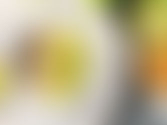 Is It Safe to Eat Chia Seeds Every Day? Here’s What Experts Say