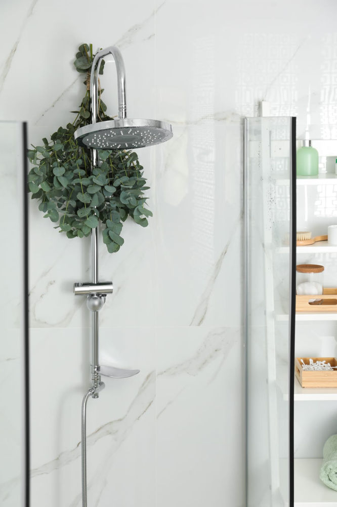Why Everyone’s Putting Eucalyptus In Their Shower
