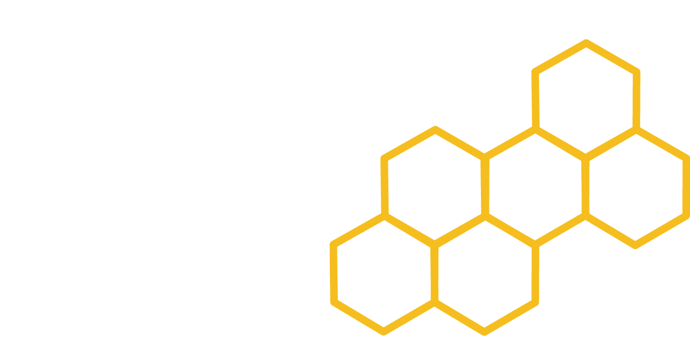 connection (2).png