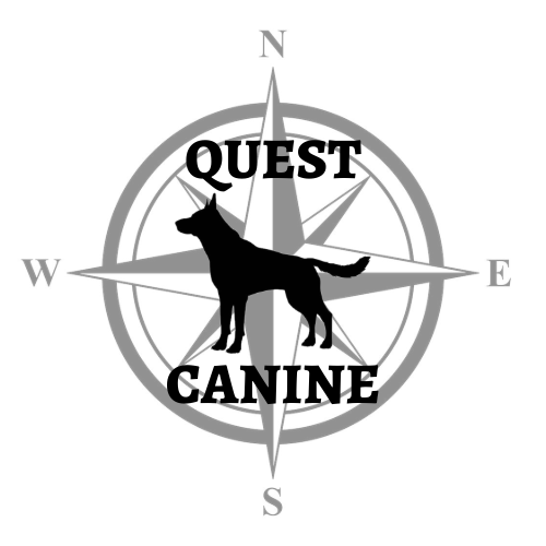 narcotics-detection-quest-canine-questvoted-prescott-s-best-dog-trainer