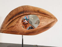Auge_edited.jpg
