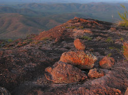 Hodgkinsom Goldfield - Mt Mulligan