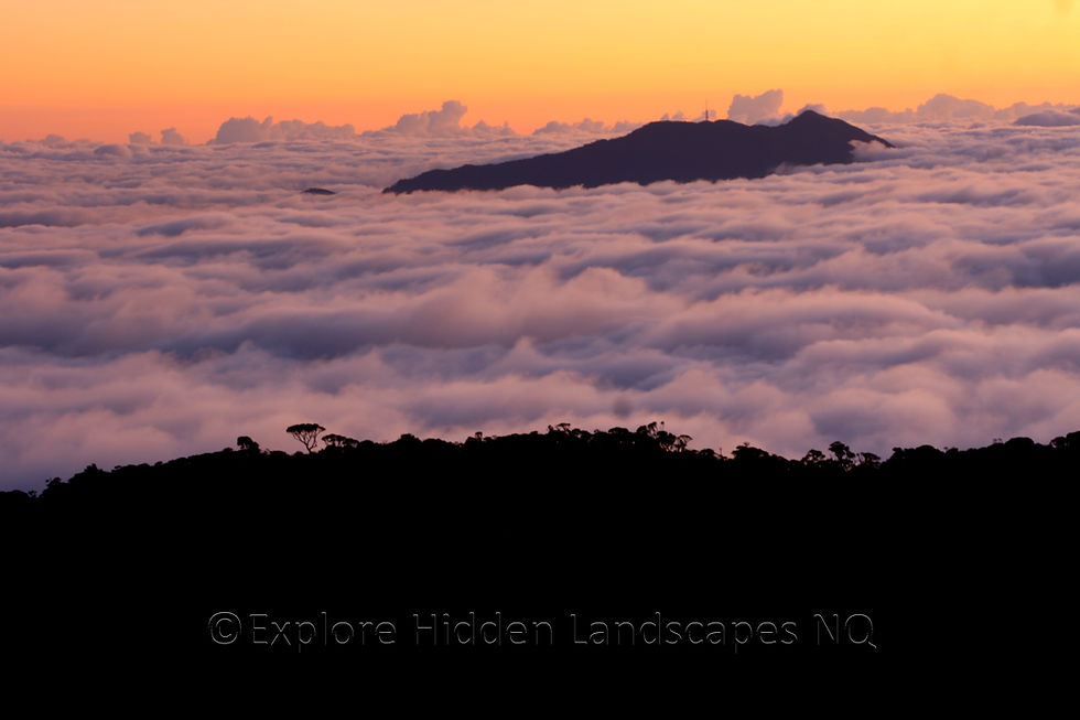 Islands in the Sky