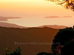 Snapper Is from The Bluff